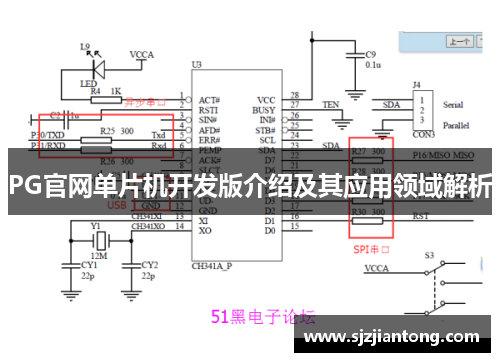 PG官网单片机开发版介绍及其应用领域解析